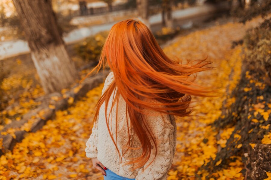Fall in Love